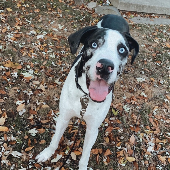 Meet your Posher, Marissa - Picture 1 of 1